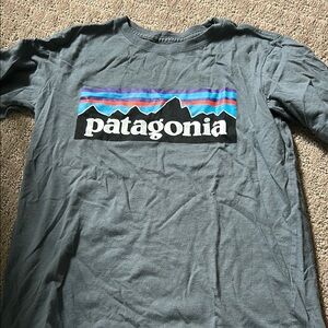 Patagonia Blue and Purple Graphic Tee